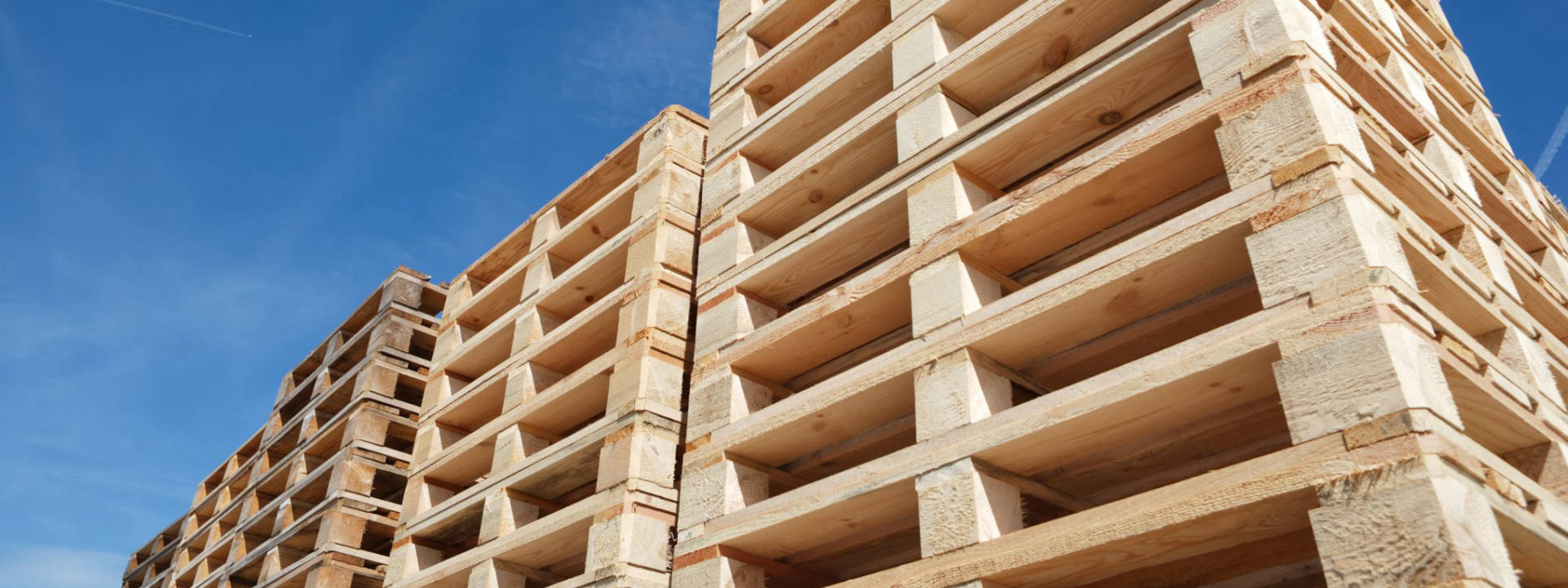 Palsan Pack, istanbul, Ümraniye, tuzla, ahşap palet, euro palet, kullanılmış palet, 2. el palet, ahşap sandık, OSB sandık, katlanır sandık, kullanılmış sandık